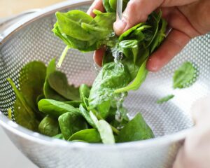 Añadimos hojas de albahaca frescas