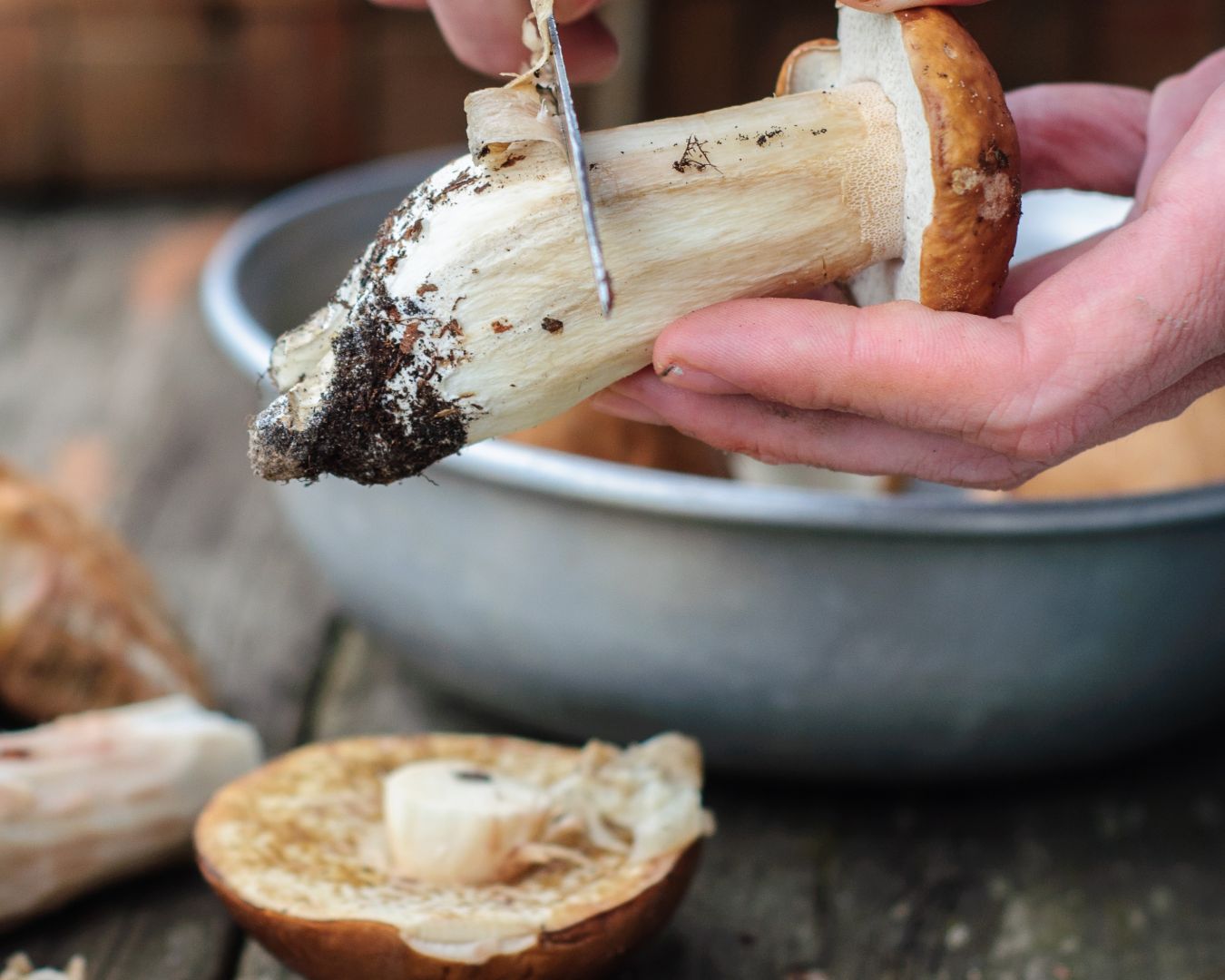 Limpiamos las setas y añadimos a la receta