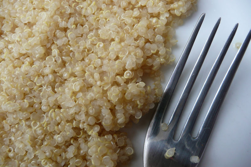 Descubre la quinoa, sus propiedades y las recetas más saludables