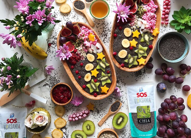 Smoothie saludable de chía, requesón y frutas de temporada por Laura Ponts