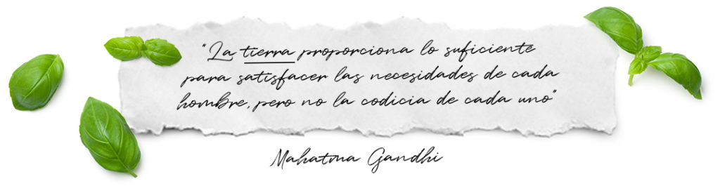 frase-mahatma-gandhi