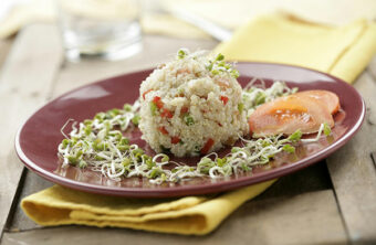 plato quinoa