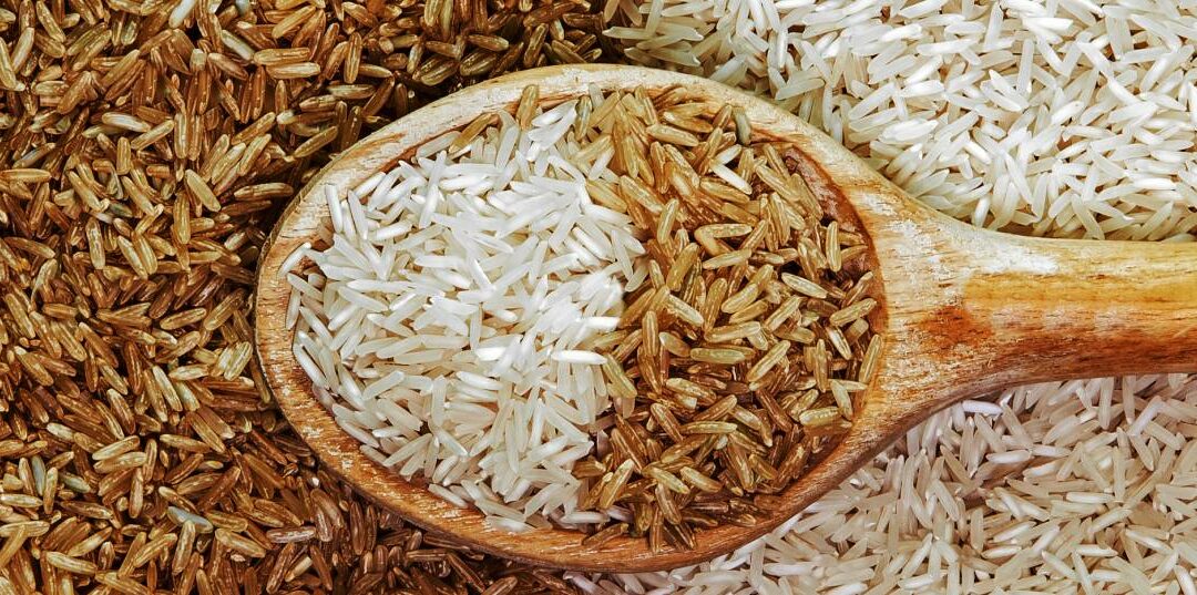 Arroz blanco y arroz integral: Principales diferencias