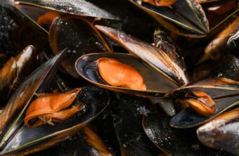 Cocer mejillones para paella: Trucos y consejos para un sabor excepcional