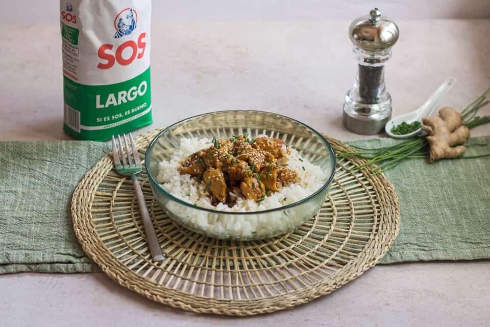 Pollo teriyaki que hará vibrar a tu paladar