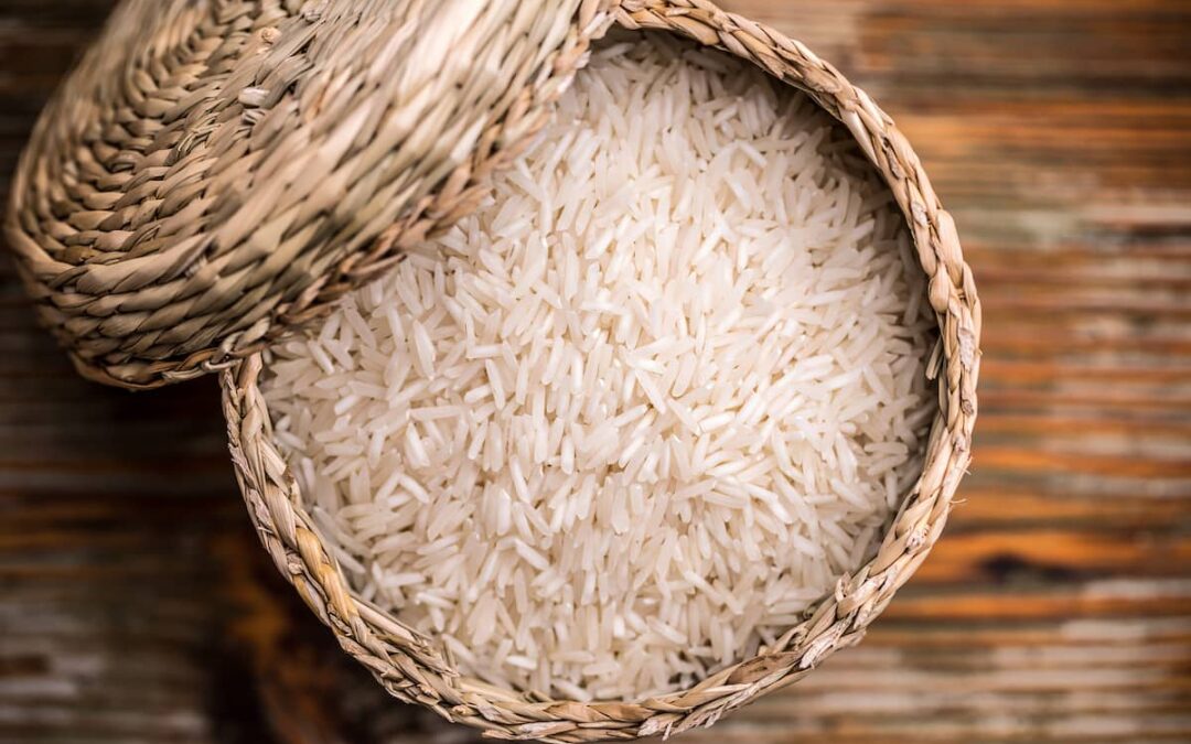 Descubriendo el Arroz: ¿Se digiere rápido realmente?