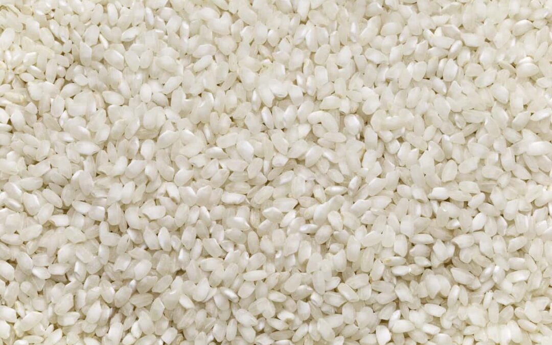Mejor arroz para paella: Descubre la elección perfecta