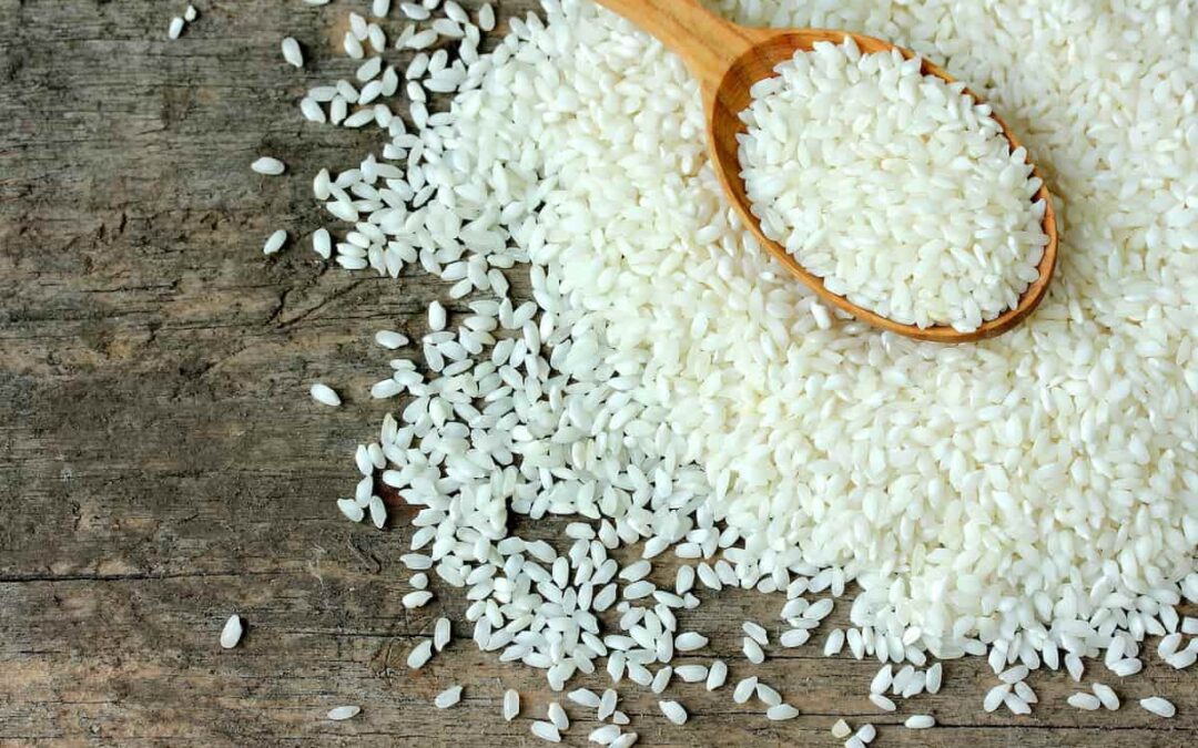 Arroz largo o redondo: ¿Cuál elegir? Comparativa y consejos