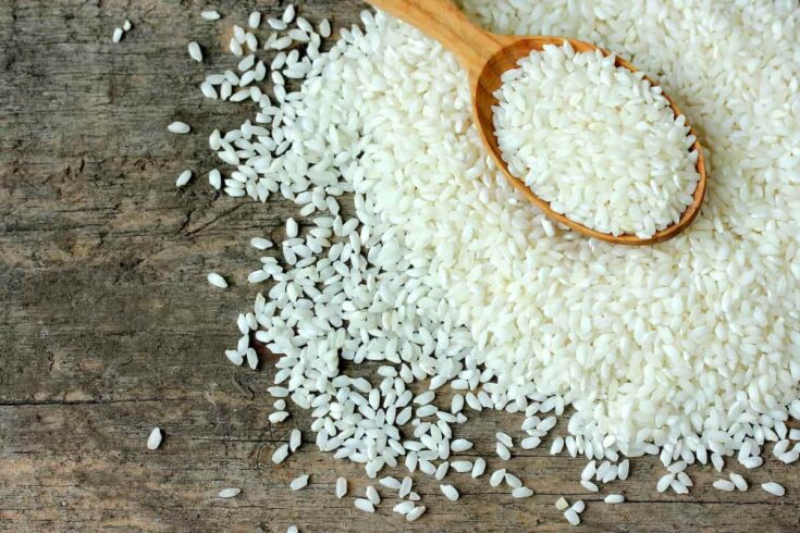 Arroz largo o redondo: ¿Cuál elegir? Comparativa y consejos