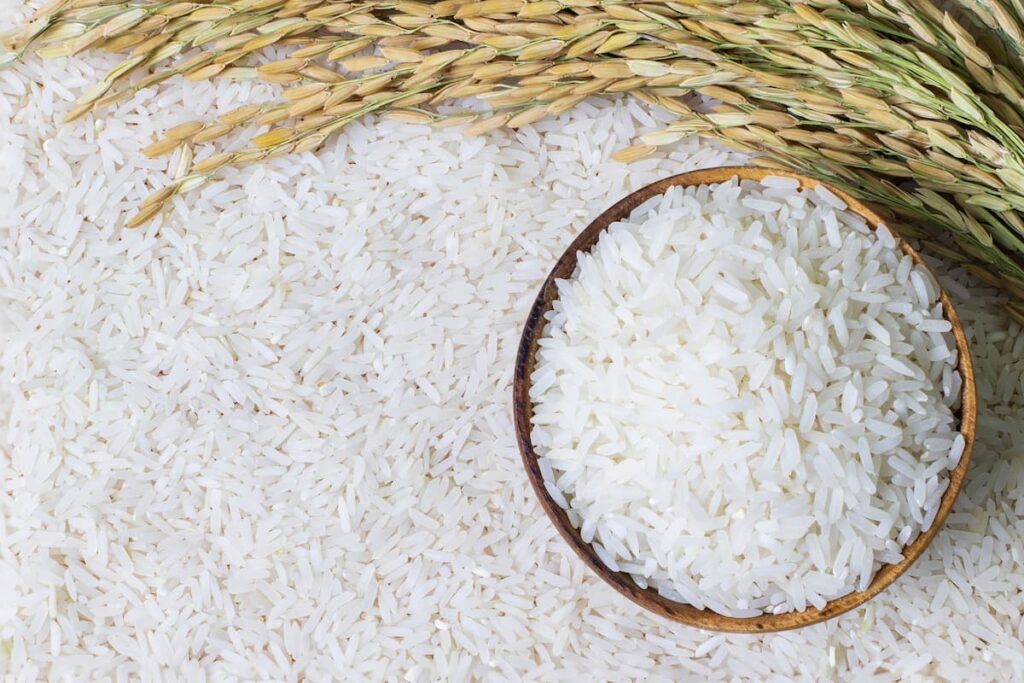 Beneficios y usos del arroz como cereal en tu alimentación
