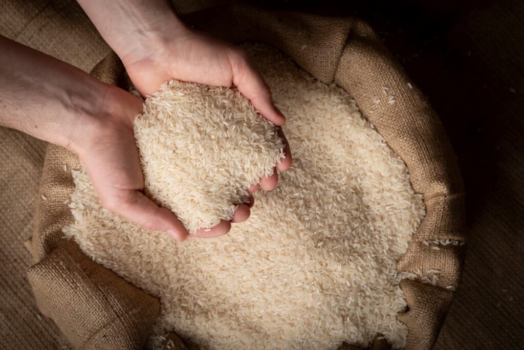 Consejos prácticos para conservar el arroz