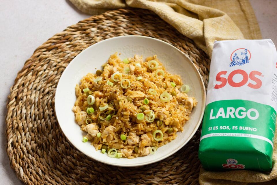Yakimeshi japonés