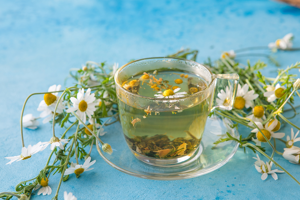 dieta blanda gastroenteritis infusion