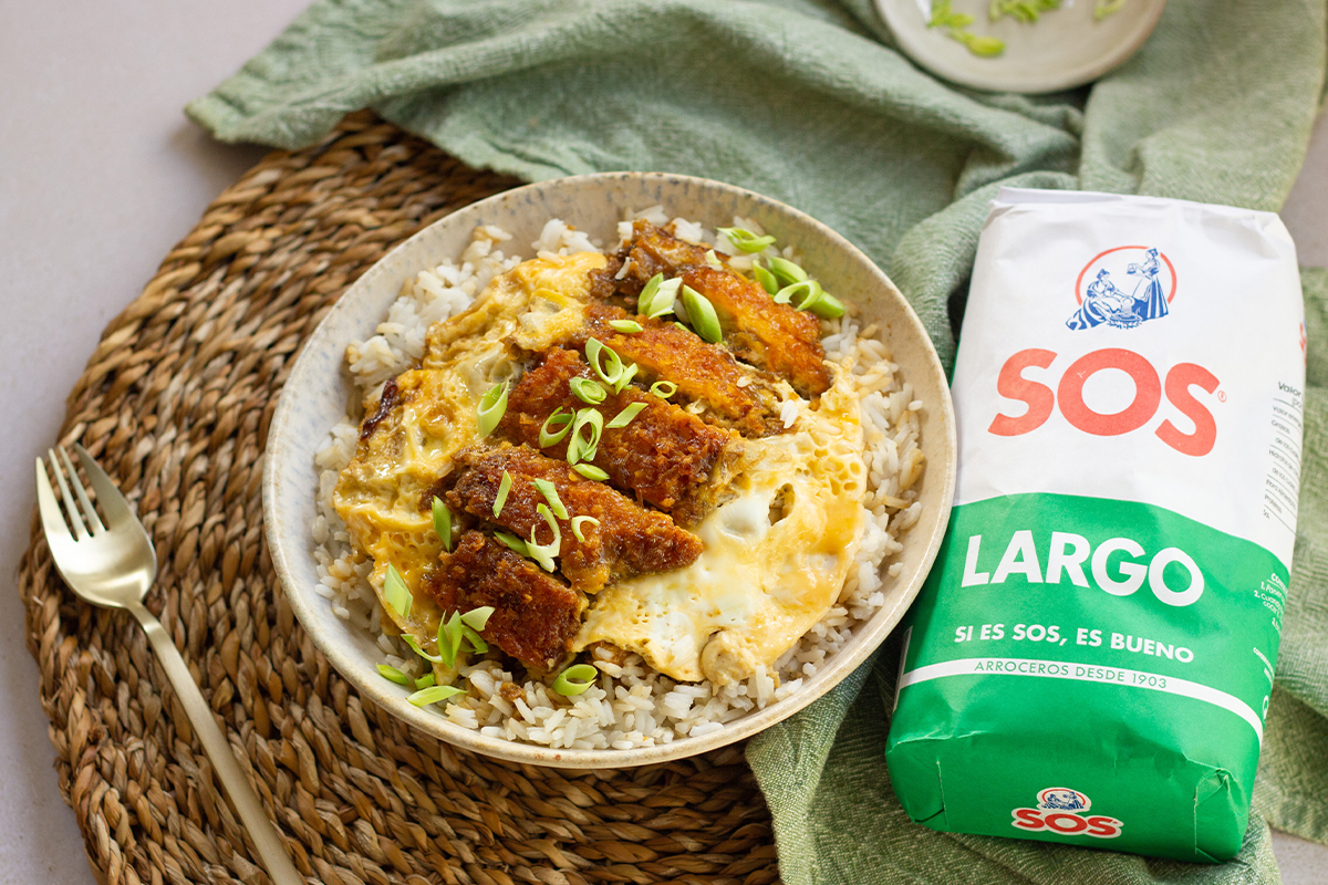 katsudon, Platos emblemáticos de la cocina japonesa