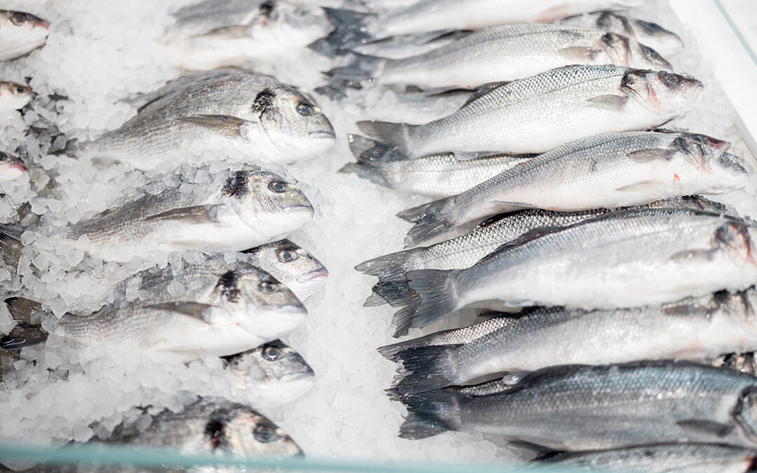 Cómo descongelar pescado de forma rápida y segura