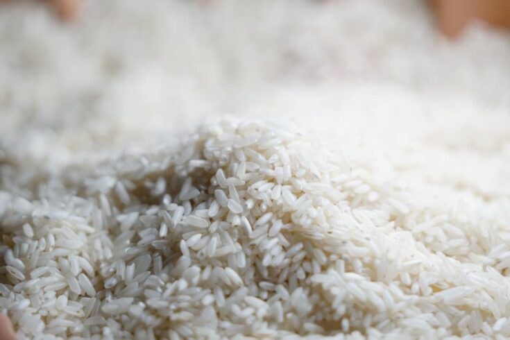 Arroz blanco: tu aliado en la dieta blanda