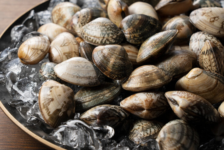 almejas en agua