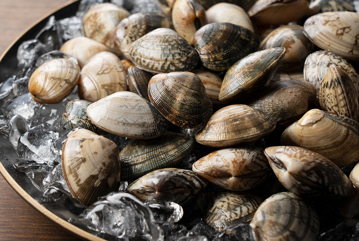 almejas en agua