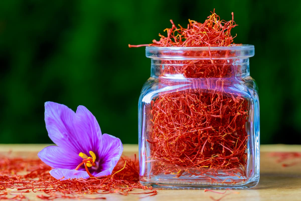 Características botánicas