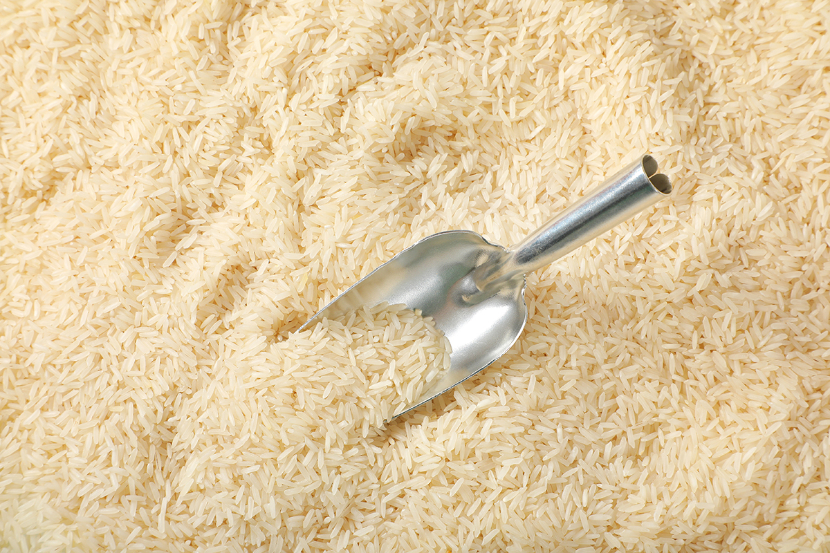 el arroz es hidrato de carbono