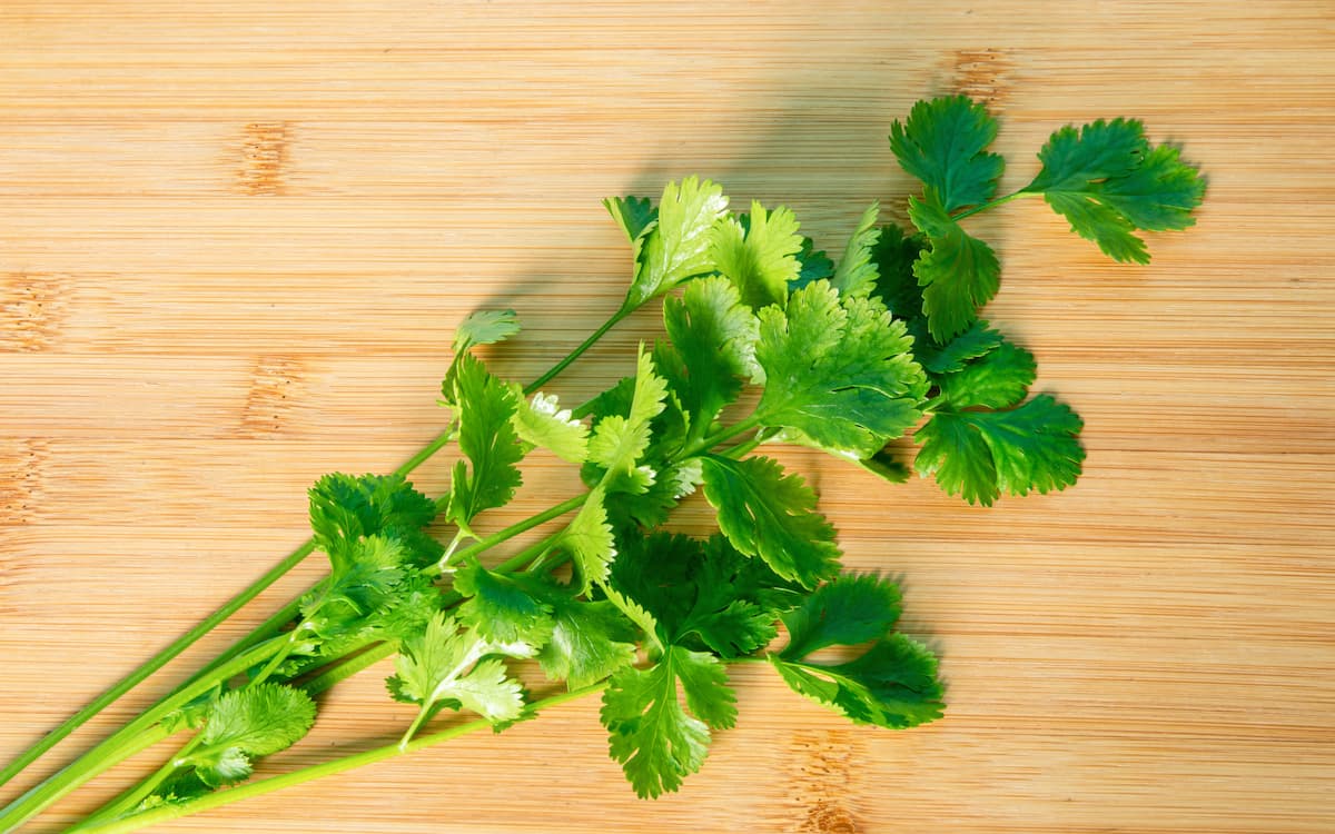 Nutrientes y fertilización