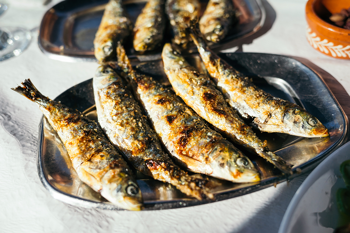 diferencia entre espeto y sardina