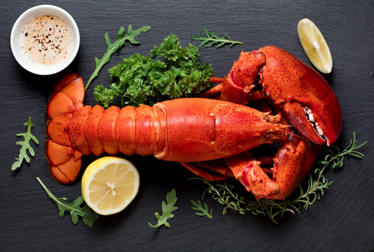 Recetas destacadas con bogavante congelado