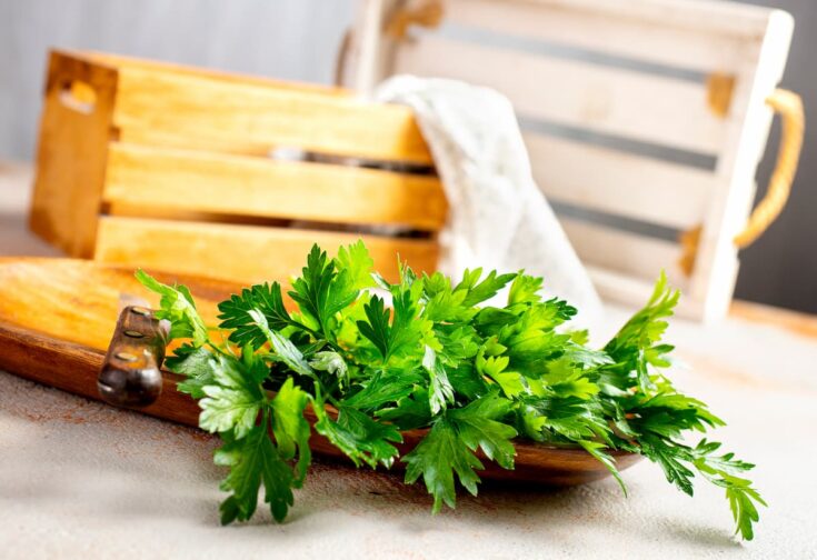 Todo sobre el perejil: propiedades y ventajas para la salud