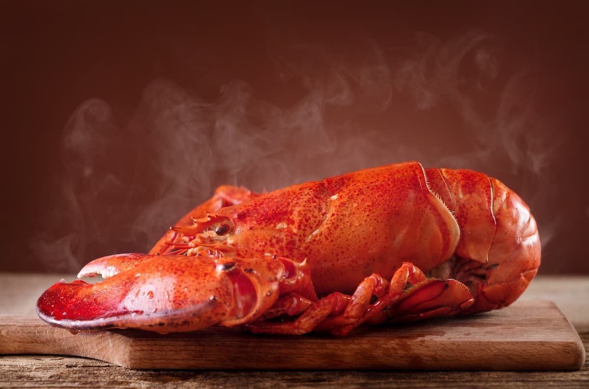 Preparación inicial del bogavante congelado