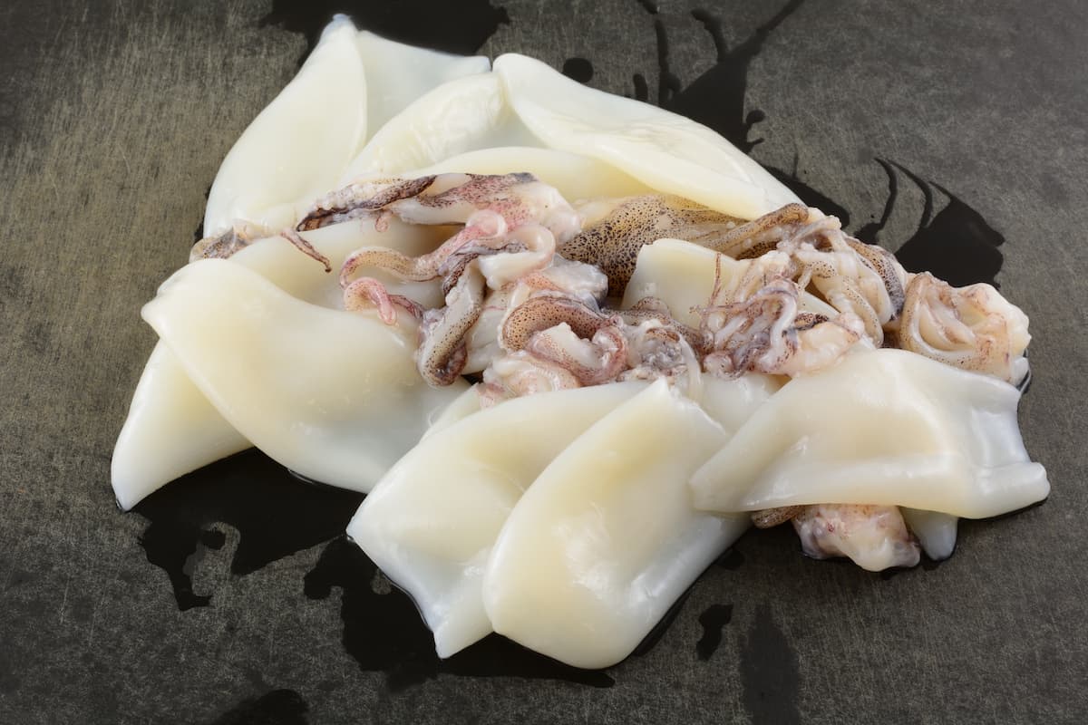 ¿Qué son los calamares?