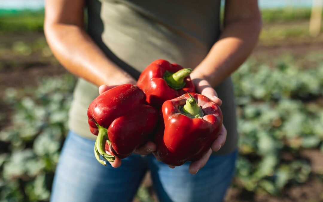 Propiedades y beneficios del pimiento rojo