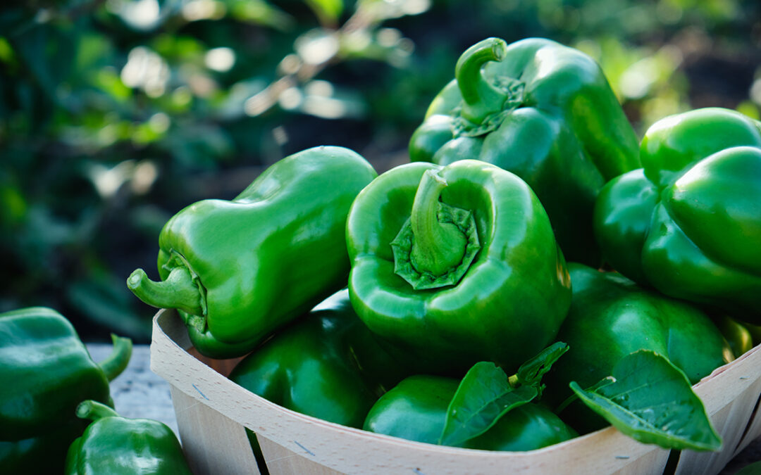 Propiedades nutricionales del pimiento verde