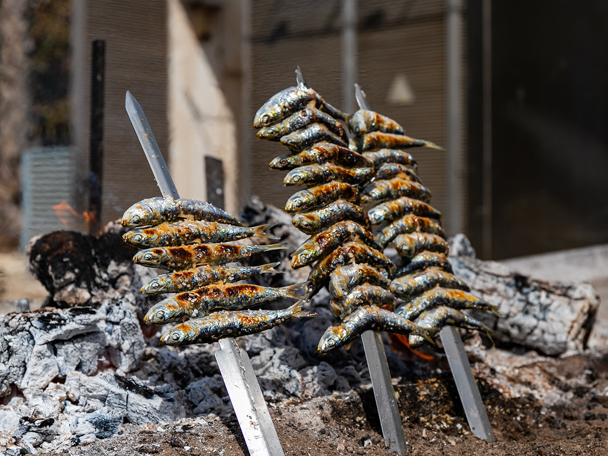 diferencia entre espeto y sardina