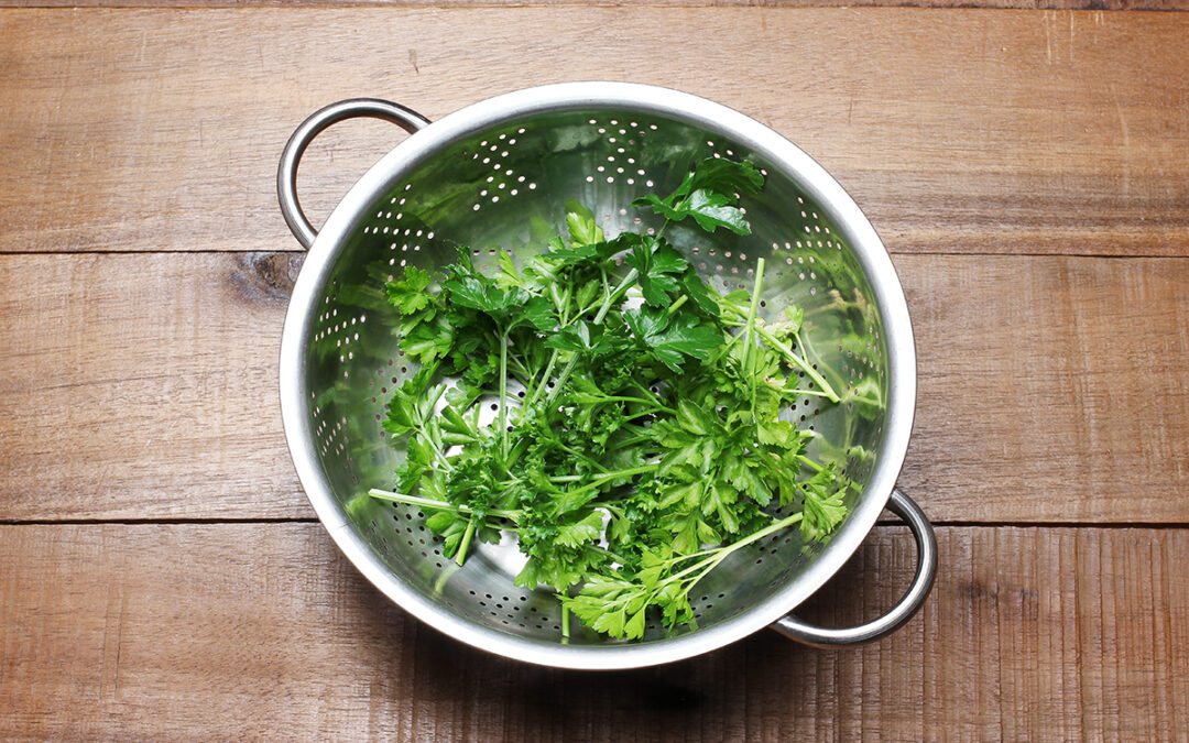 Cilantro vs. perejil: diferencias clave, usos y consejos