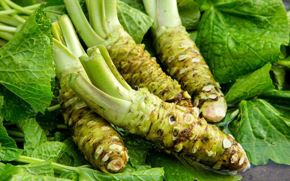 Qué Es El Wasabi Usos y Propiedades ArrozSOS
