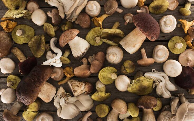 champiñones beneficios