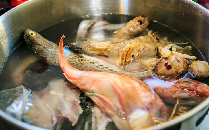 diferencias fumet caldo pescado