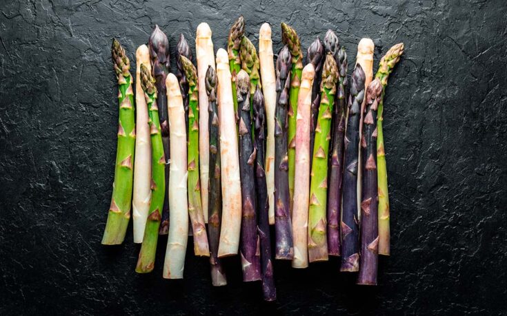 temporada esparragos