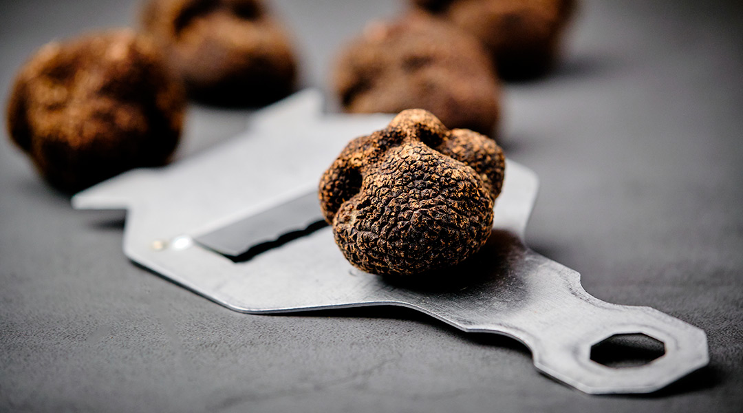Ingredientes clave en las comidas gourmet