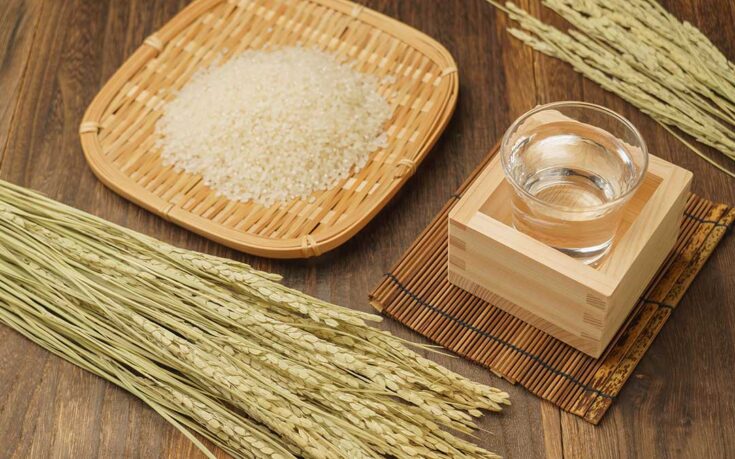 El arroz en Japón: historia, variedades y tradición