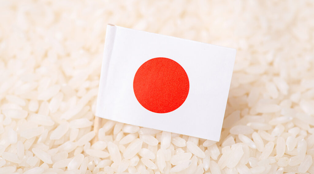 Variedades de arroz más populares en Japón