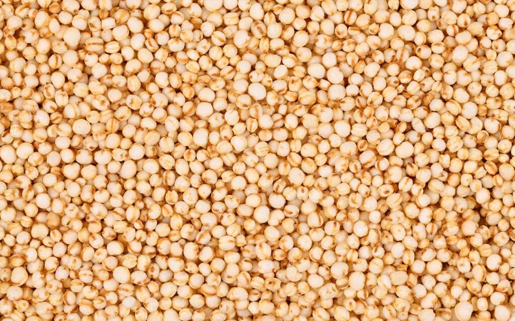 Procesamiento y extracción de proteínas de quinoa