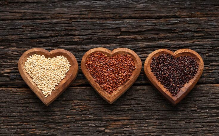 La quinoa: una fuente excepcional de proteína vegetal