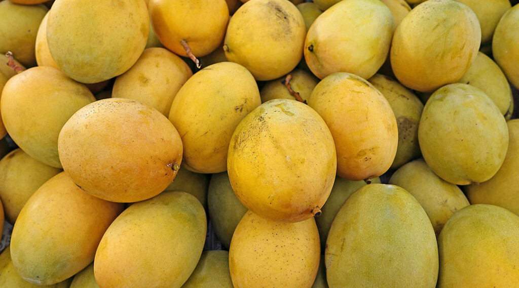 Frutas tropicales y raíces como la yuca y el plátano