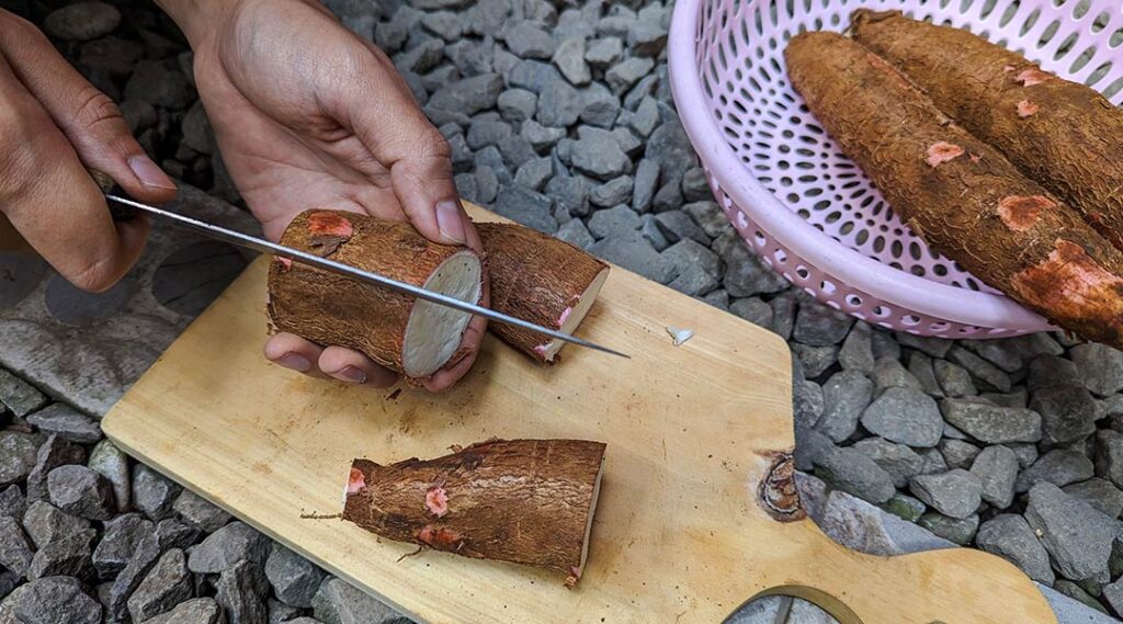 Recomendaciones para experimentar la comida latinoamericana