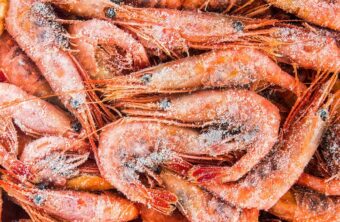 Domina el arte de cocer marisco congelado: la guía definitiva que necesitas