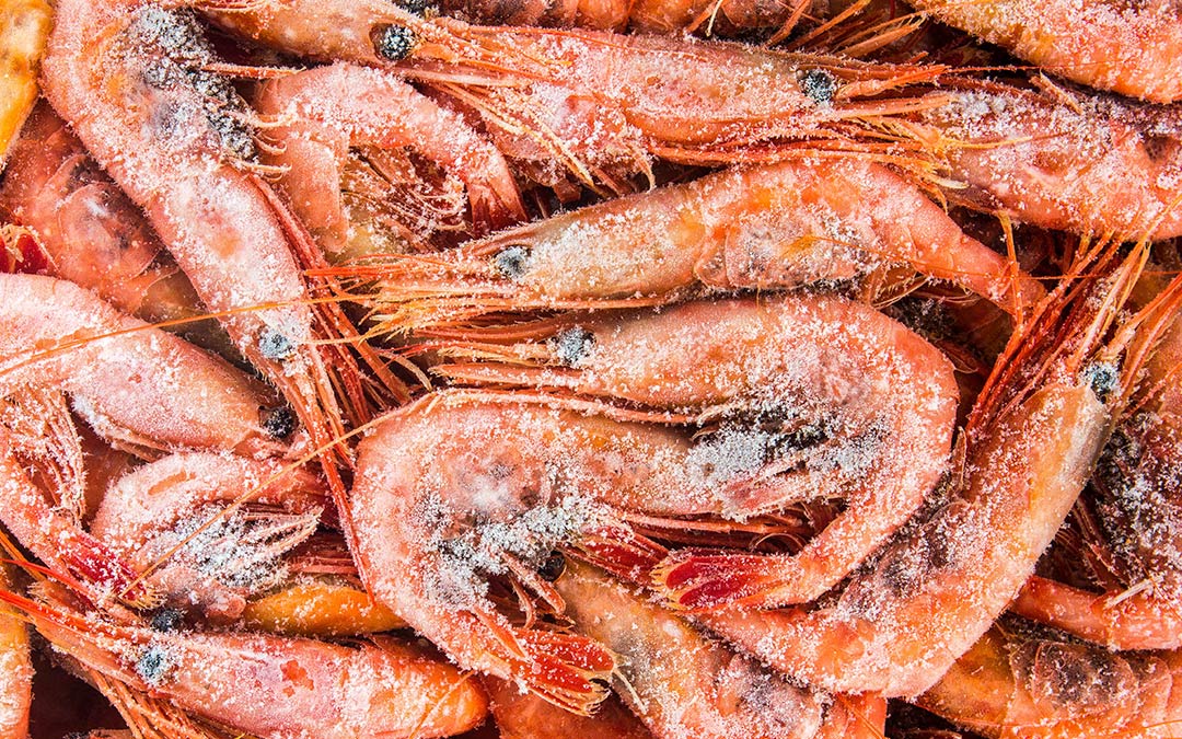 Domina el arte de cocer marisco congelado: la guía definitiva que necesitas