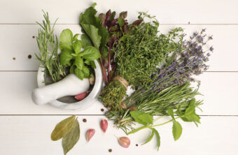 Descubre las 20 hierbas aromáticas que revolucionarán tu cocina