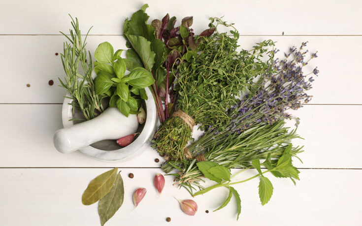 Descubre las 20 hierbas aromáticas que revolucionarán tu cocina