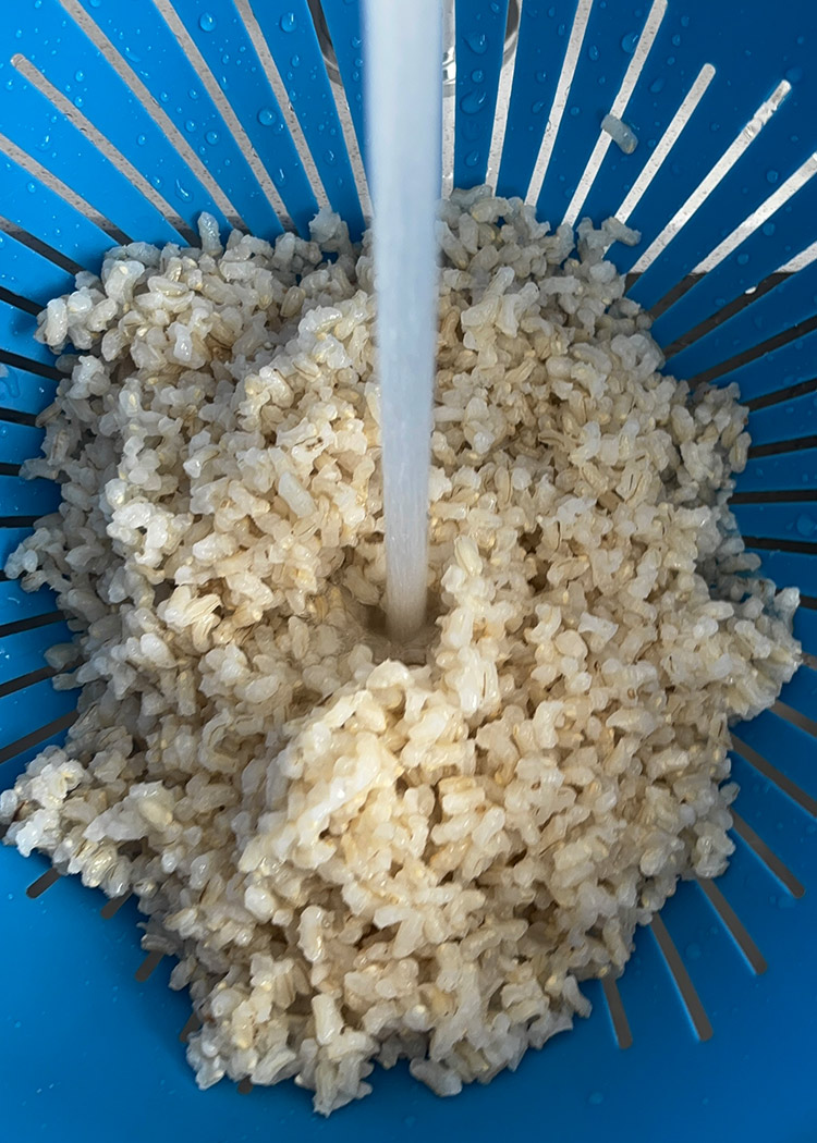 Cocer y enfriar arroz para ensalada de arroz integral
